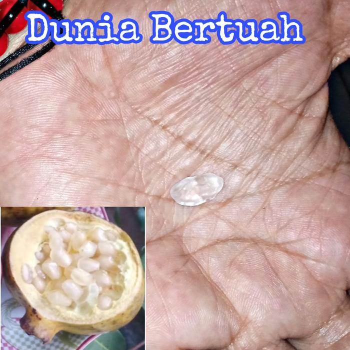 Batu mustika biji delima putih