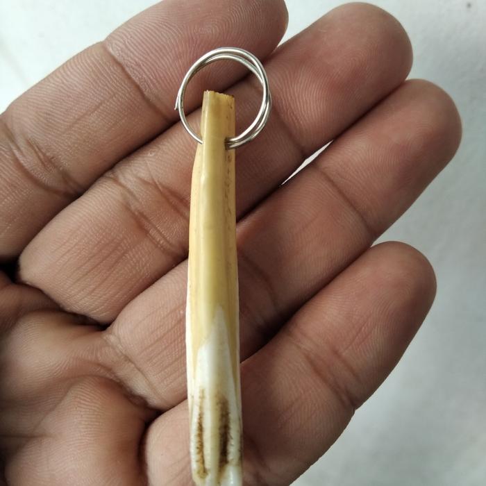 kalung liontin asli bahan taring antik jadul vintage lawas kuno