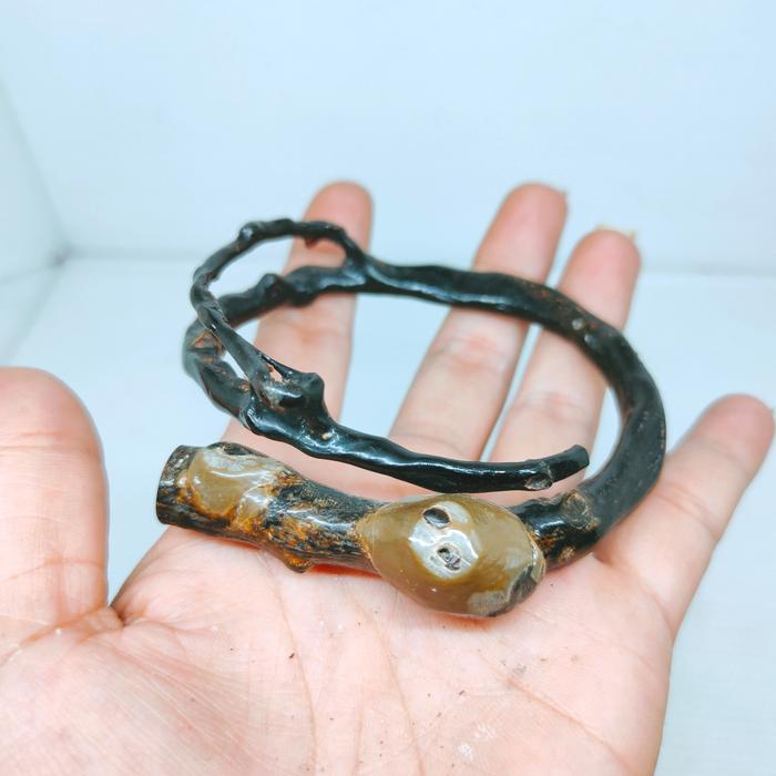GELANG AKAR BAHAR COMBONG BERBONGGOL UNIK LANGKA BAGUS