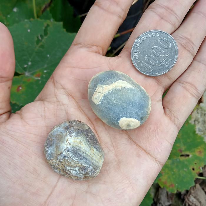 2 pcs Batu Sulaiman Daud Ujung Tanjung ( Rough Akik - bukan bacan )