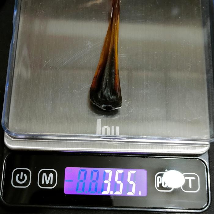 Empedu Ular Phyton 32
