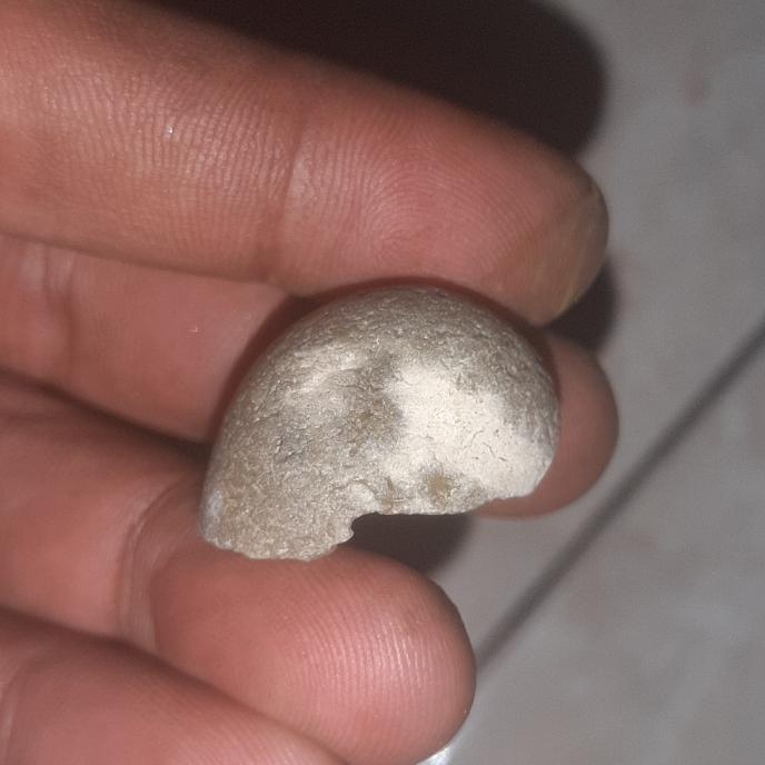 mustika batu keong wungkul