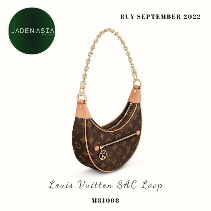 Louis Vuitton LV Bag Sac Loop