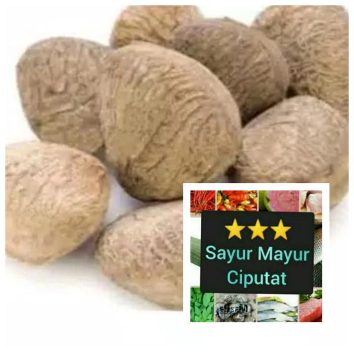 pucung/kluwek 1 butir