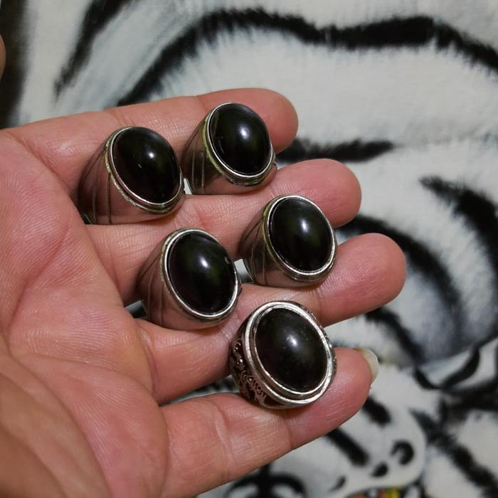 Cincin Fosil Galih Kelor Aktif Kekebalan