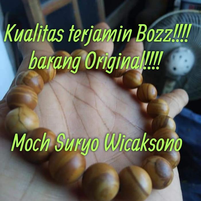 Gelang Fosil Kayu Cendana Original Ready Batu Sisik Naga Galeh Kelor