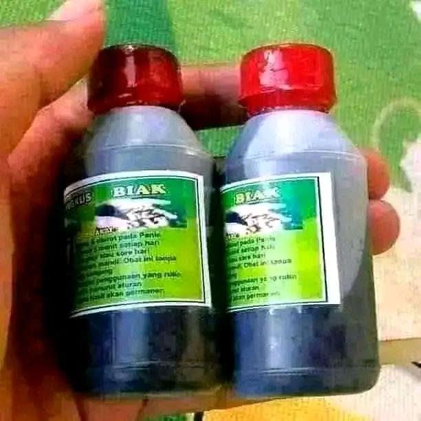 Daun bungkus asli papua