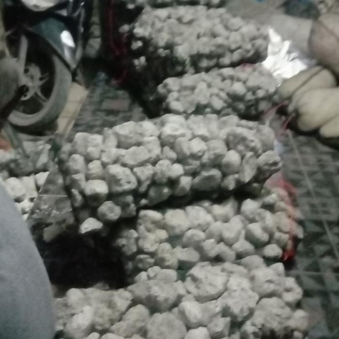 batu apung super premium