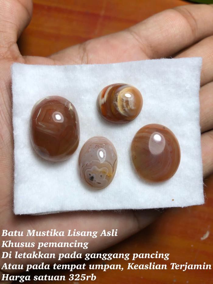 Batu Lisang Asli Berang2 Khusus Memancing Asli Kalimantan