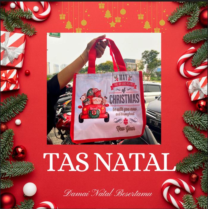 TAS SPUNBOND EDISI NATAL CHRISMAS UKURAN DUS 22X22X22