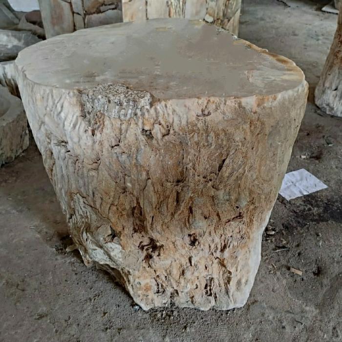 Kursi Batu Fosil Kayu Purba