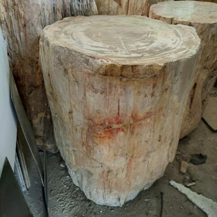 Kursi Batu Fosil Kayu Asli