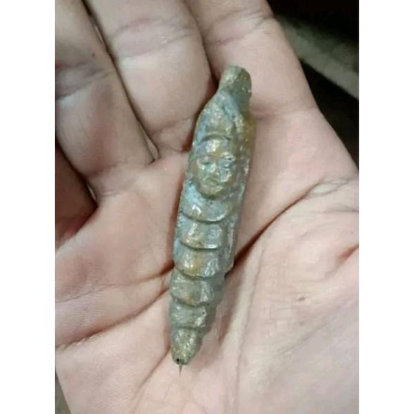 RATU KEPOMPONG WESI KUNING ASLI