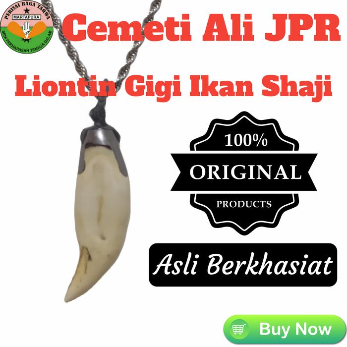 Liontin Pria Cemeti Ali Asli Perisai Raga Taqwa Martapura Kalimantan