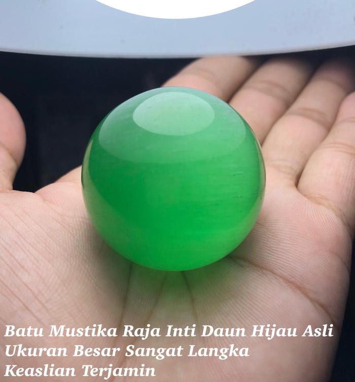 Batu Mustika Raja Inti Daun Asli Kalimantan