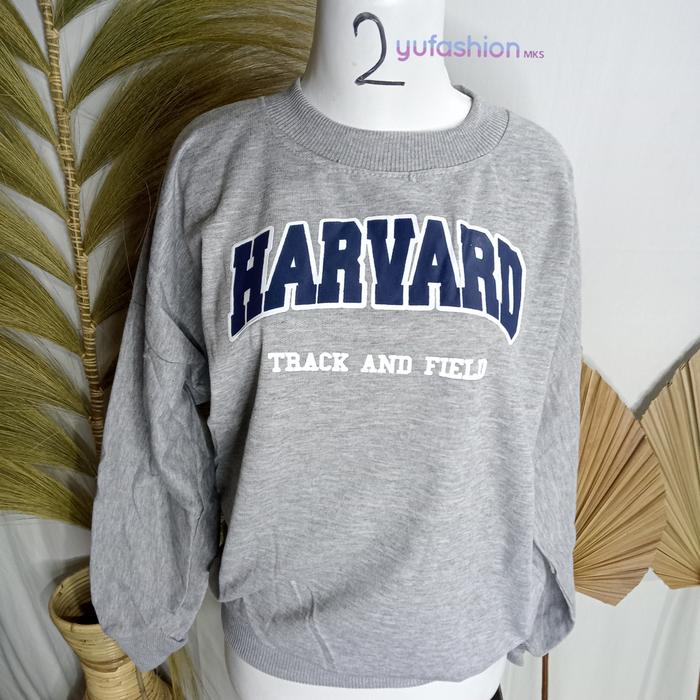 Harvard sweater/Sweater cewek