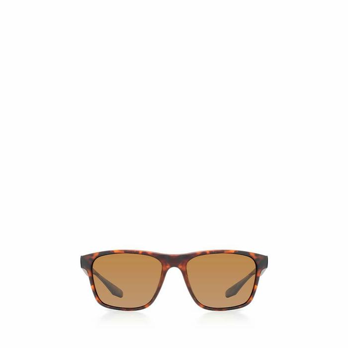 Kaca mata eiger original GLANCE WAYFARER SUNGLASSES,5711