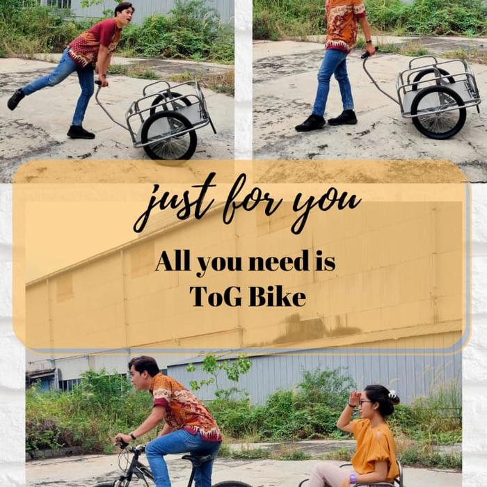 bike trailer / bike cargo / gerobak sepeda
