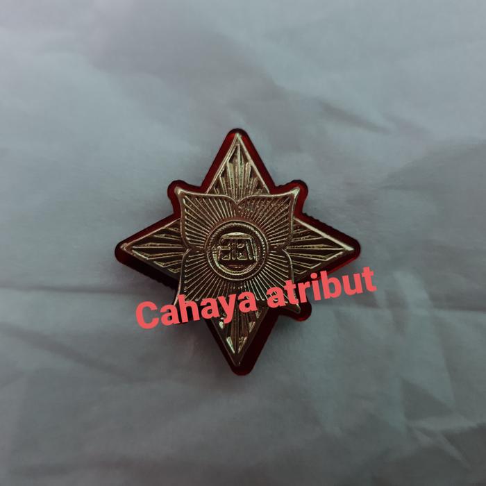 Pin Alumni PPI Madiun