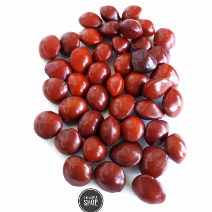 BIJI SAGA / SEGA TELIK 100 gram biji bijian mozaik | BAHAN GELANG CRAF