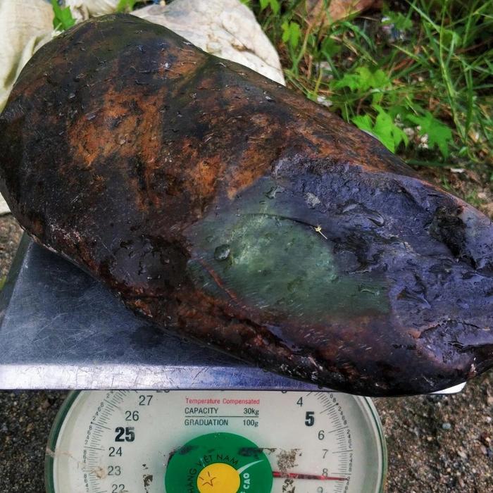 GIOK ACEH 8 KG