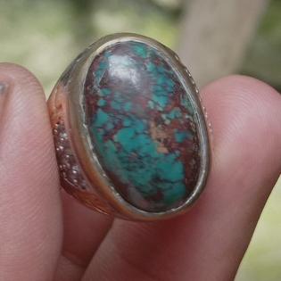 pirus Persia urat merah