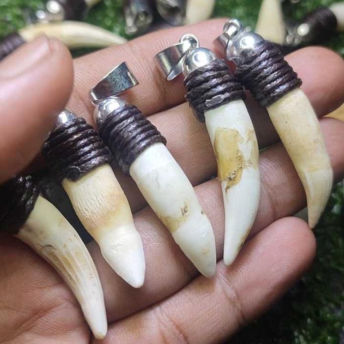 liontin taring buaya istimewa