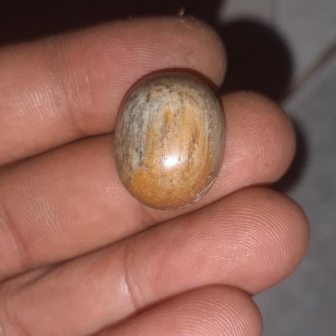 batu akik langka kuno fosil kayu langka
