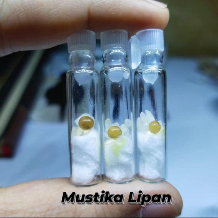 Mustika Lipan Geliga Kelabang Original 100%