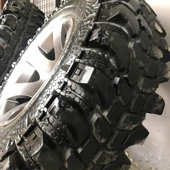 ban saja komodo extreme 31 r15