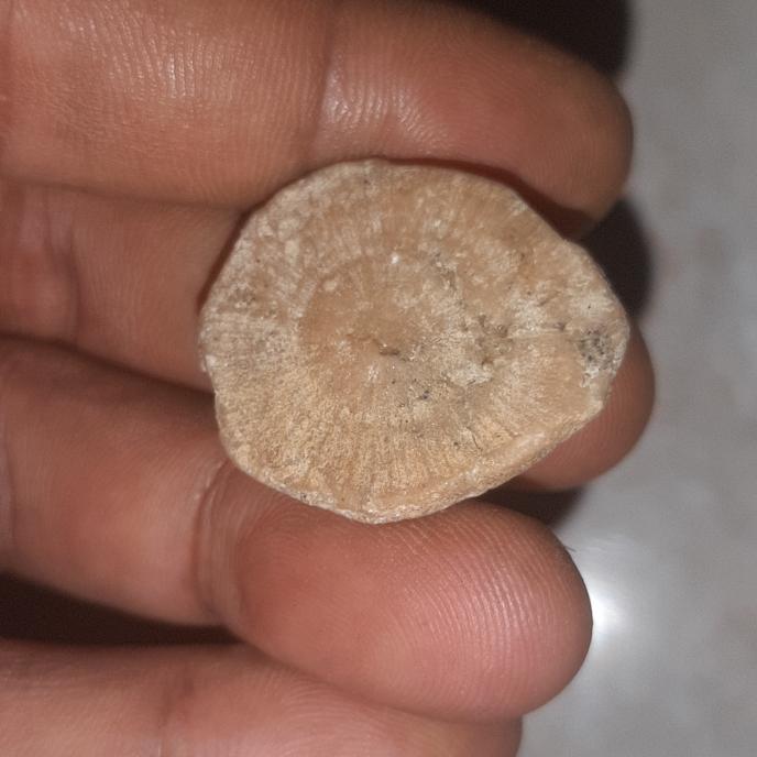 batu mustika bunga bidadari