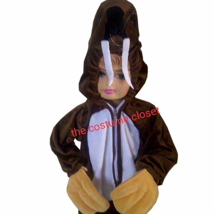 walrus costume (kostum anjing laut)