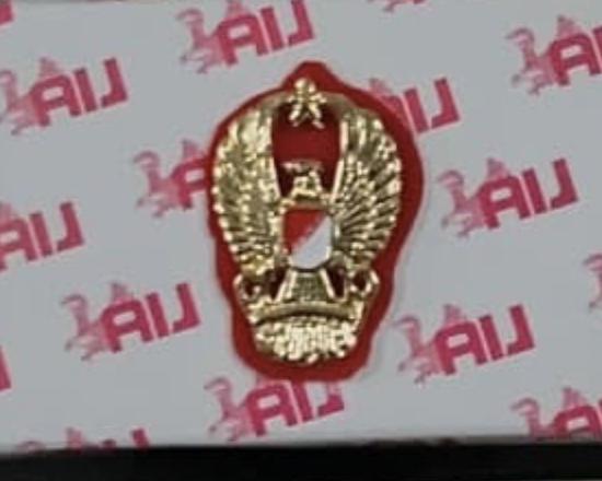 Pin Mut (Kejaksaan, asn/pns, TNI, Perhubungan, Satpol PP, dan semua instansi)