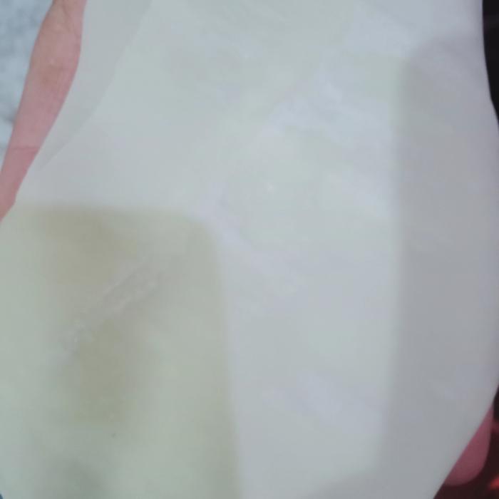 kulit pangsit