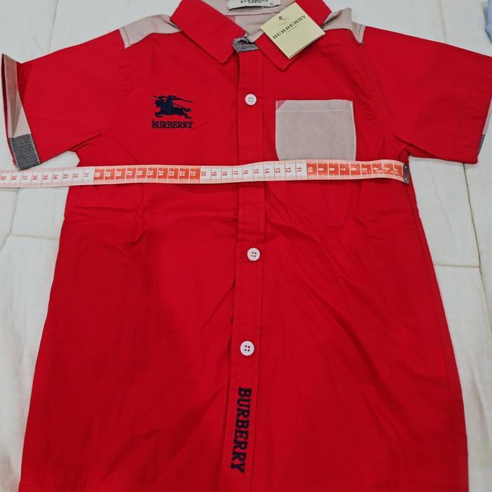 Baju kemeja blueberry anak cowok