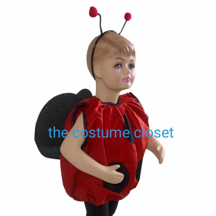 ladybug costume (kostum kepik)