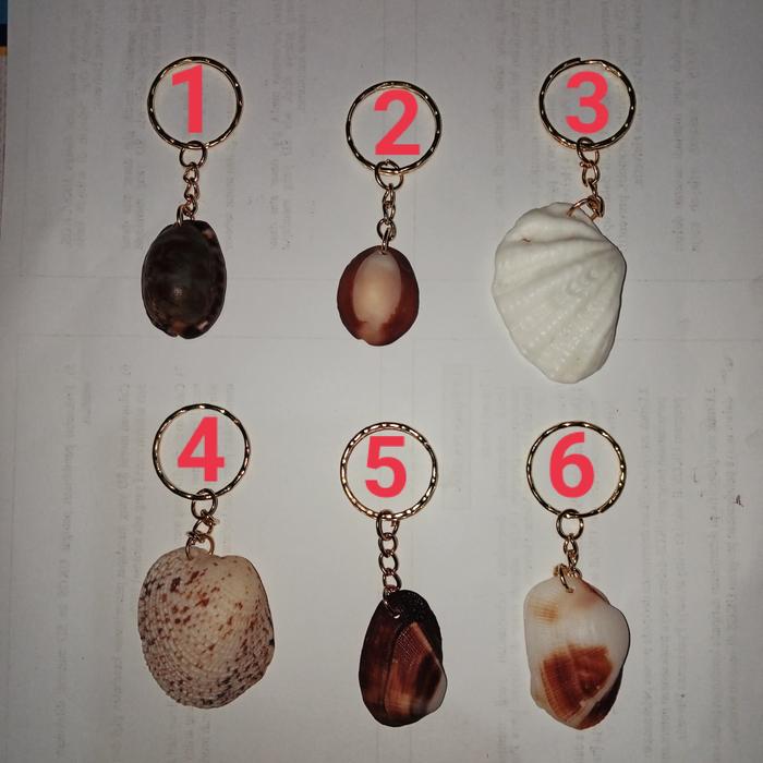 Gantungan Kunci Siput & Kerang Laut Asli Motif Indah Premium