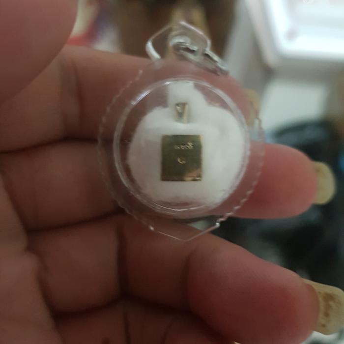 turtle amulet