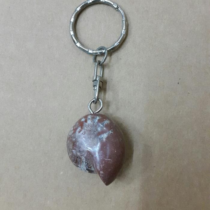 Liontin Fosil Ammonite GF 3.