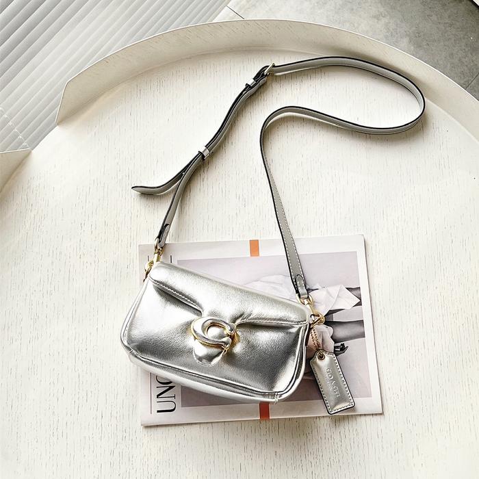 COACH C3880 ladies silver trumpet mini pillow Dionysian