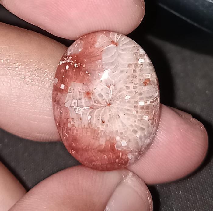 Natural Batu Akik Motif Gambar Teratai Jaring Lipan Putih Antik 3