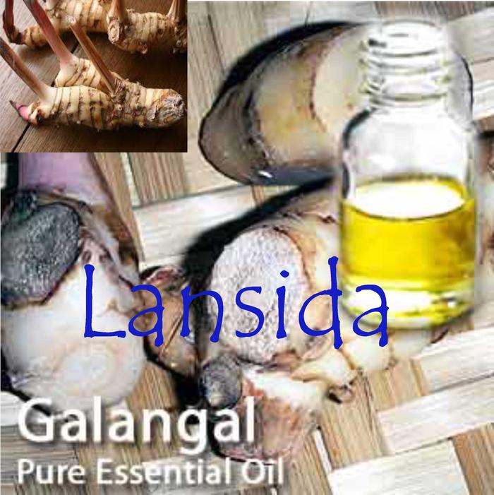 Pure Galangal Essential Oil 25 ml / Minyak Atsiri Lengkuas / Alpinia