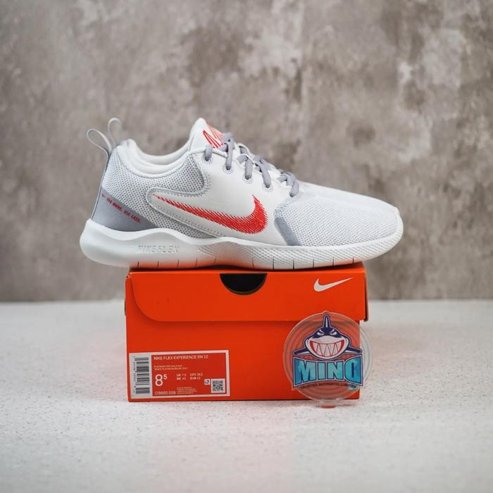 NIKE FLEX EXPERIENCE RN 10