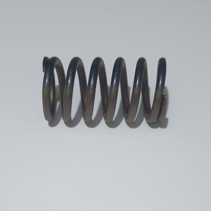 3042428 Spring / Per Injector KTA50