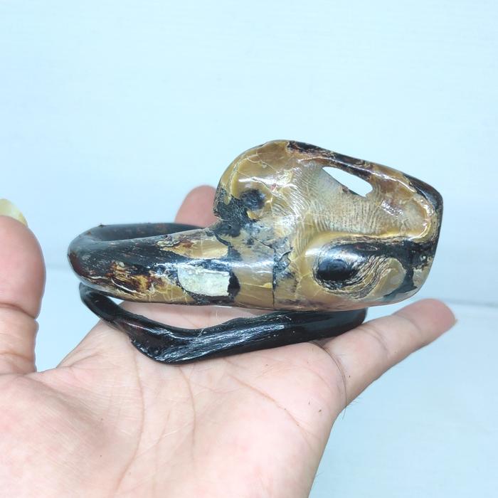 GELANG AKAR BAHAR HITAM COMBONG BONGGOL U
