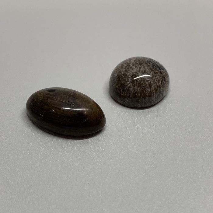 Batu Akik Fosil Kayu & Stigi