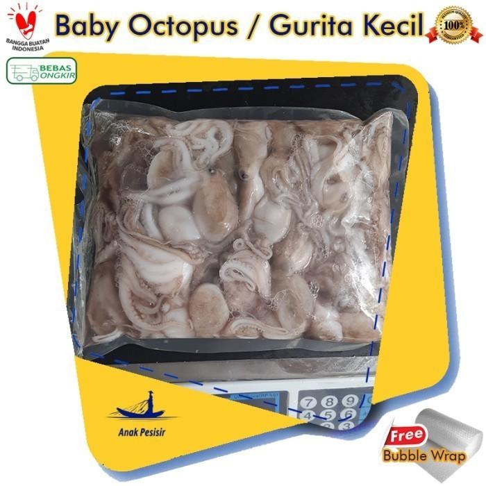 Gurita Kecil Segar/Baby Octopus Kecil Fresh 1kg/Baby Gurita Segar