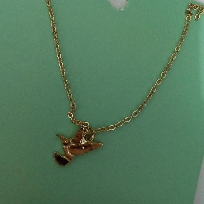 Kalung Burung Mr. DIY (New)