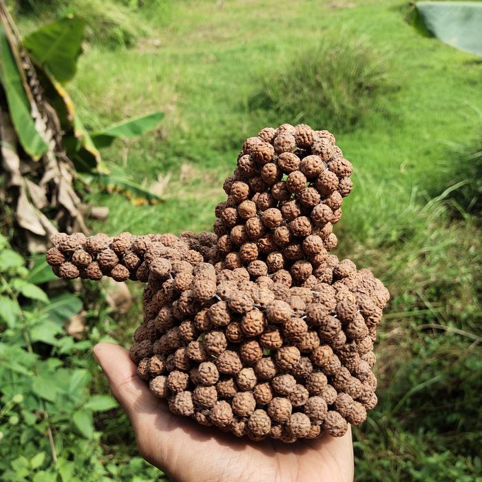 jenitri rudraksha shiva linggam shiva lingga