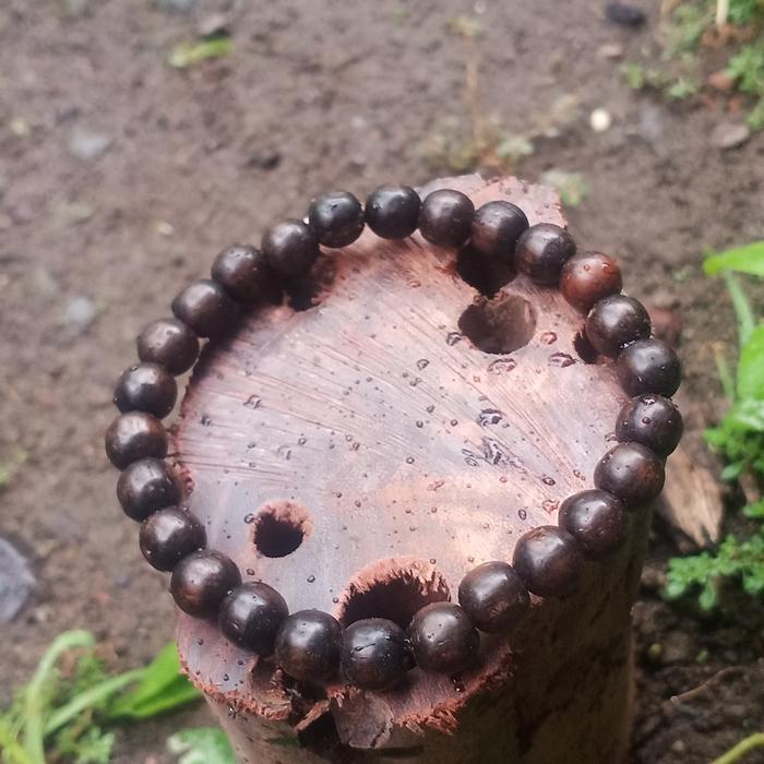 gelang galih asem gandul syech jangkung